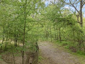 910  Lakeshore Boulevard , Oak Point Texas 75068