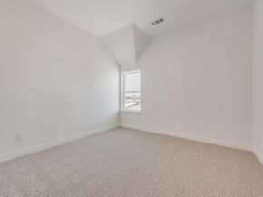 248  Golden Run Drive , Fate Texas 75189