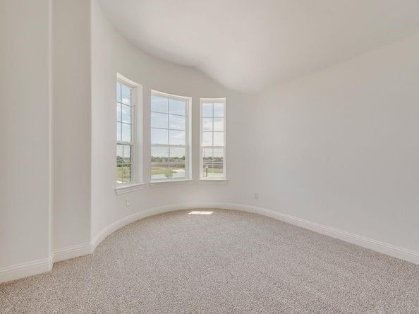 248  Golden Run Drive , Fate Texas 75189