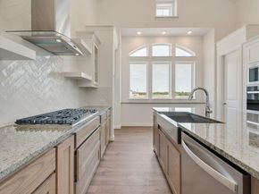 248  Golden Run Drive , Fate Texas 75189