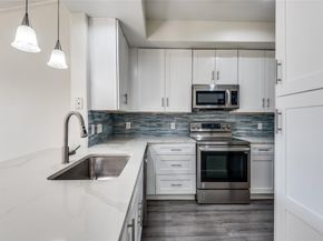 330  Las Colinas Boulevard E 466, Irving Texas 75039