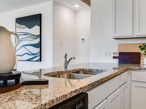 3140  Burmese Street , Providence Village Texas 76227