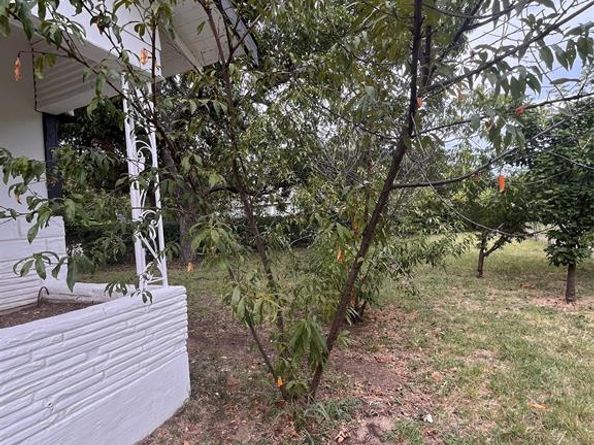 1466 E Myrtle Street , Fort Worth Texas 76104