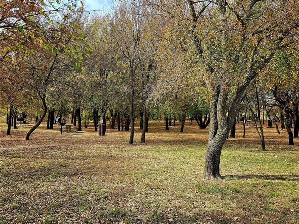 3001  Barefoot Lane , Celina Texas 75009