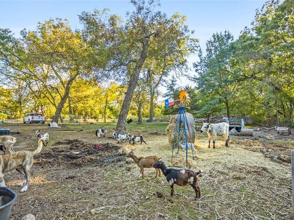 1641  Ben Davis Drive , Garland Texas 75040