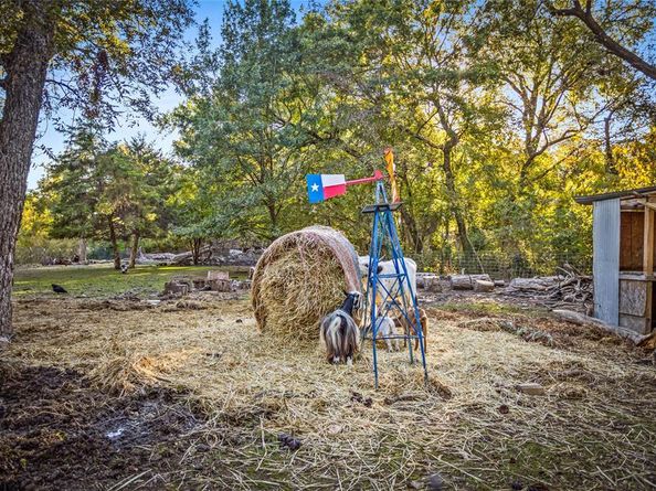 1641  Ben Davis Drive , Garland Texas 75040