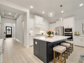 3040  Pedigree Court , Celina Texas 75009