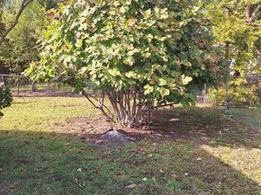 326 E Ferndale Lane , Grand Prairie Texas 75052