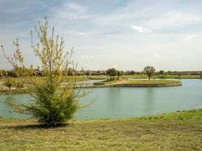 942  Carrington Greens Drive , Frisco Texas 75036
