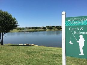 5224  Rush Creek Court , Fort Worth Texas 76244