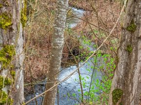 19805 15th Avenue NE 3, Shoreline WA 98155
