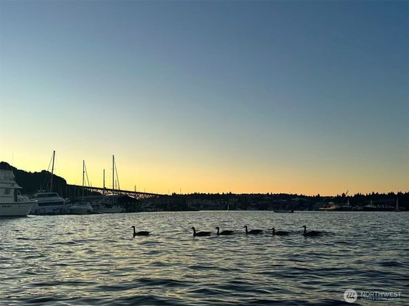 2040 Westlake Avenue N 14, Seattle WA 98109