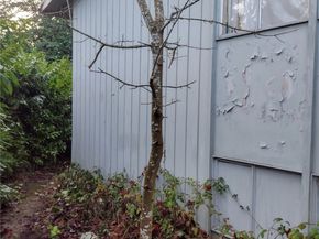 29735 3rd Avenue S, Federal Way WA 98003