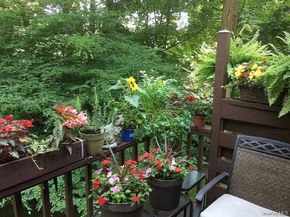 249 Mill River Road, Chappaqua NY 10514