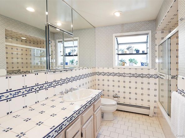245 Birch Drive roslyn, Roslyn NY 11576