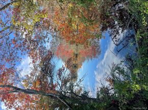 79 Grandview Drive, Shirley NY 11967