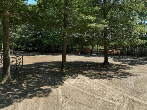 168 Brookfield Avenue, Center Moriches NY 11934