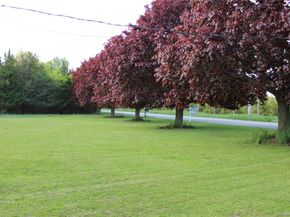 3715 Hortons Lane, Southold NY 11971