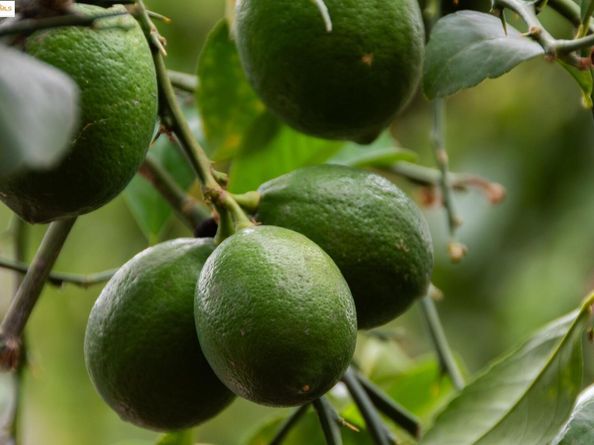 2030 Junction Ave, El Cerrito CA 94530