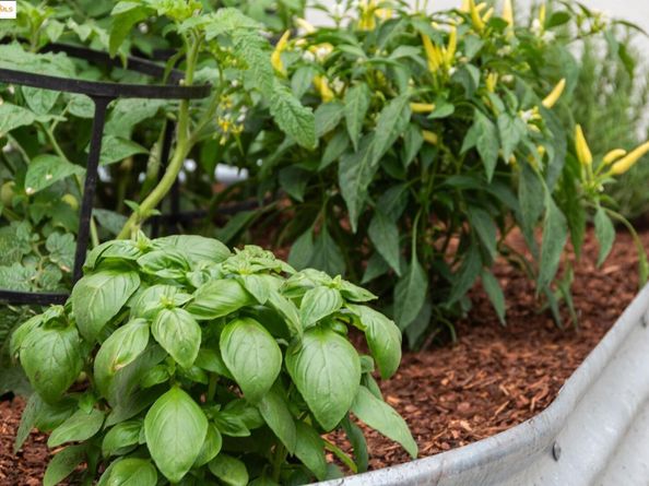 2030 Junction Ave, El Cerrito CA 94530