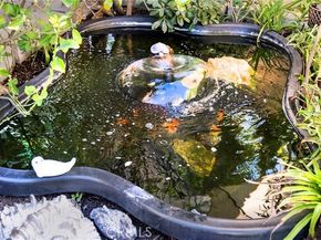 22482 Lake Forest Ln, Lake Forest (el Toro) CA 92630