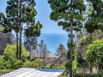 517 Palisades Drive