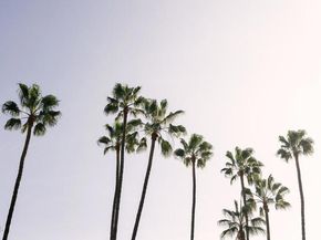 124 W Colorado Street 405, Glendale CA 91204