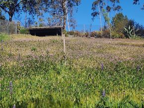 19419 Oxnard Street, Tarzana (los Angeles) CA 91356