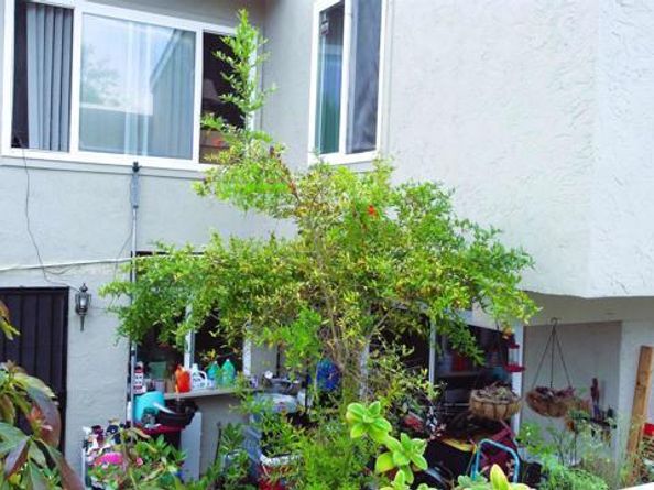 1373 Evergreen Drive, Cardiff By The Sea (encinitas) CA 92007