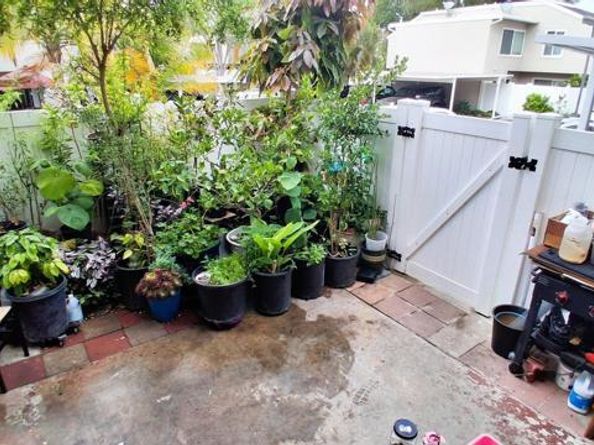 1373 Evergreen Drive, Cardiff By The Sea (encinitas) CA 92007