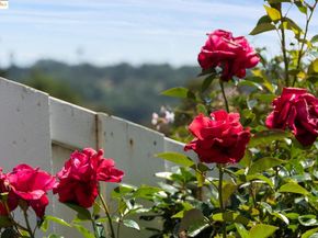93 Thousand Oaks St, Oakland CA 94605