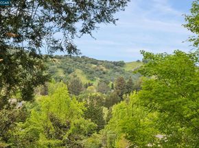 2075 Cactus Ct 1, Walnut Creek CA 94595