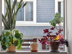 81 Frank Norris Place 303, San Francisco CA 94109