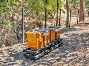 127 Caminar Way, Walnut Creek CA 94596