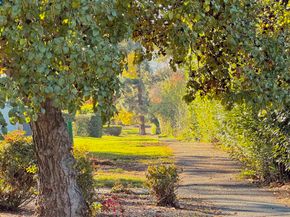 5333 Park Highlands Blvd 27, Concord CA 94521