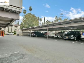 1699 Laguna Street 311, Concord CA 94520