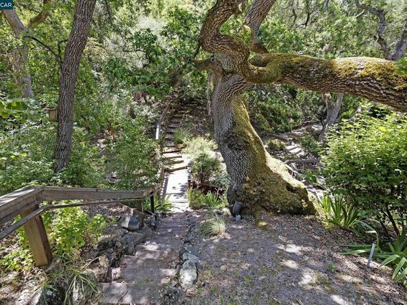 345 Shire Oaks Court, Lafayette CA 94549