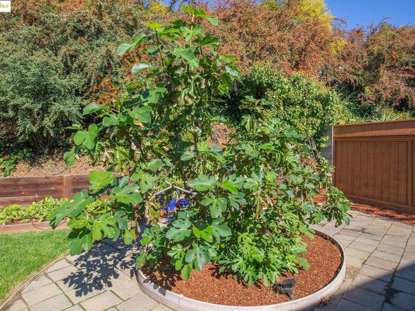 2850 Jennifer Dr, Castro Valley CA 94546