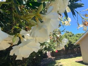 3247 Ensenada Dr, San Ramon CA 94583