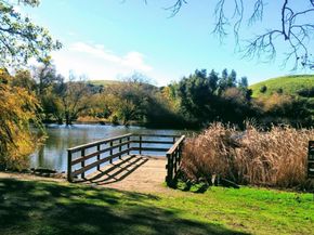 30532 Carroll Ave, Hayward CA 94544