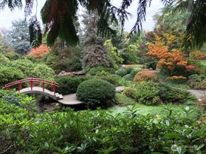 9812 59th Avenue S, Seattle WA 98118