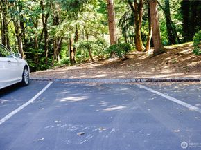 3921 108th Avenue NE 201A, Bellevue WA 98004