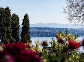 624 35th Avenue, Seattle WA 98122