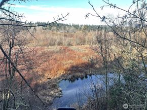 1628 118th Avenue SE F316, Bellevue WA 98005