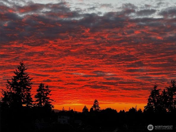 7747 15th Avenue NW A, Seattle WA 98117