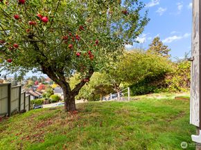 4812 46th Avenue SW, Seattle WA 98116