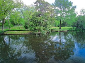 000  Laguna Lane , Austin Texas 78746