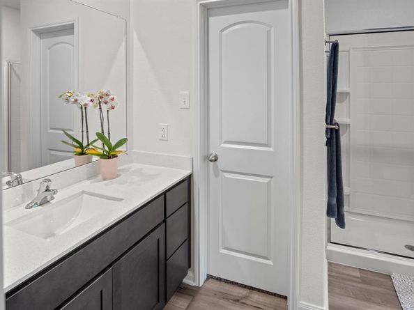 8213  Smokey Creek Pass , Fort Worth Texas 76179