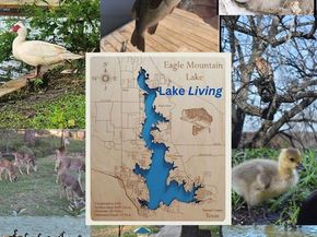 300  Shoreline Drive , Azle Texas 76020