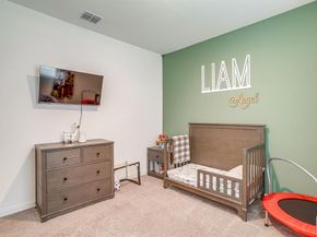 3032  Riddler Way , Little Elm Texas 75068